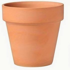 Flower Pot +$30.00