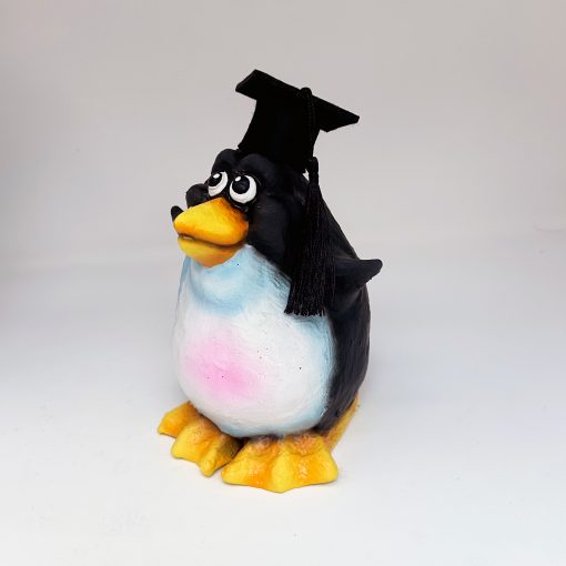 Graduation Penguin XPress - Image 7