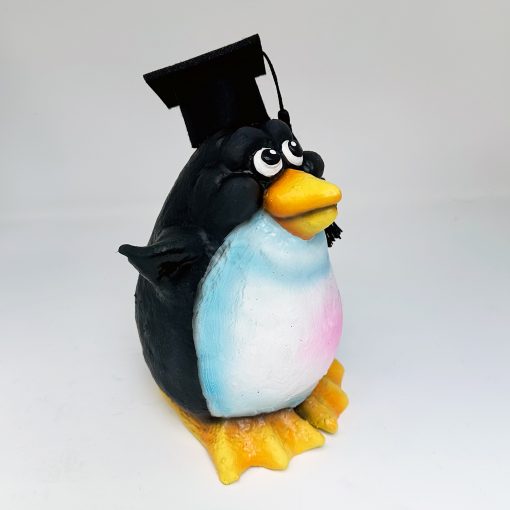 Graduation Penguin XPress - Image 5