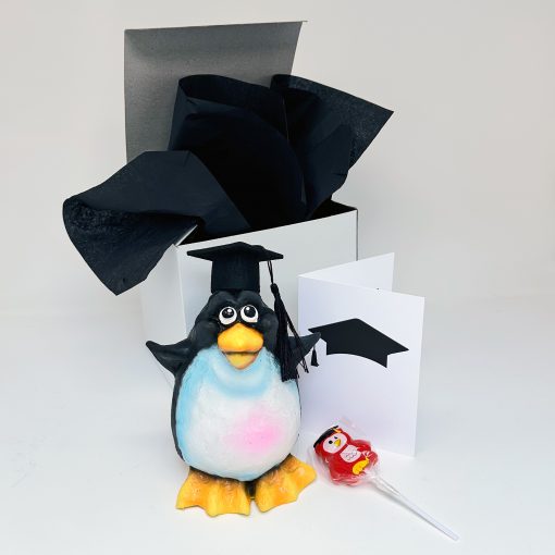 Graduation Penguin XPress - Image 2