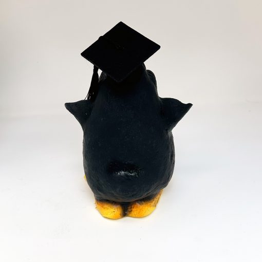 Graduation Penguin XPress - Image 6